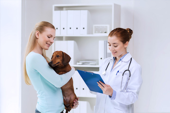 ЭЦП для оформления ветеринарных сертификатов (ГИС Меркурий)